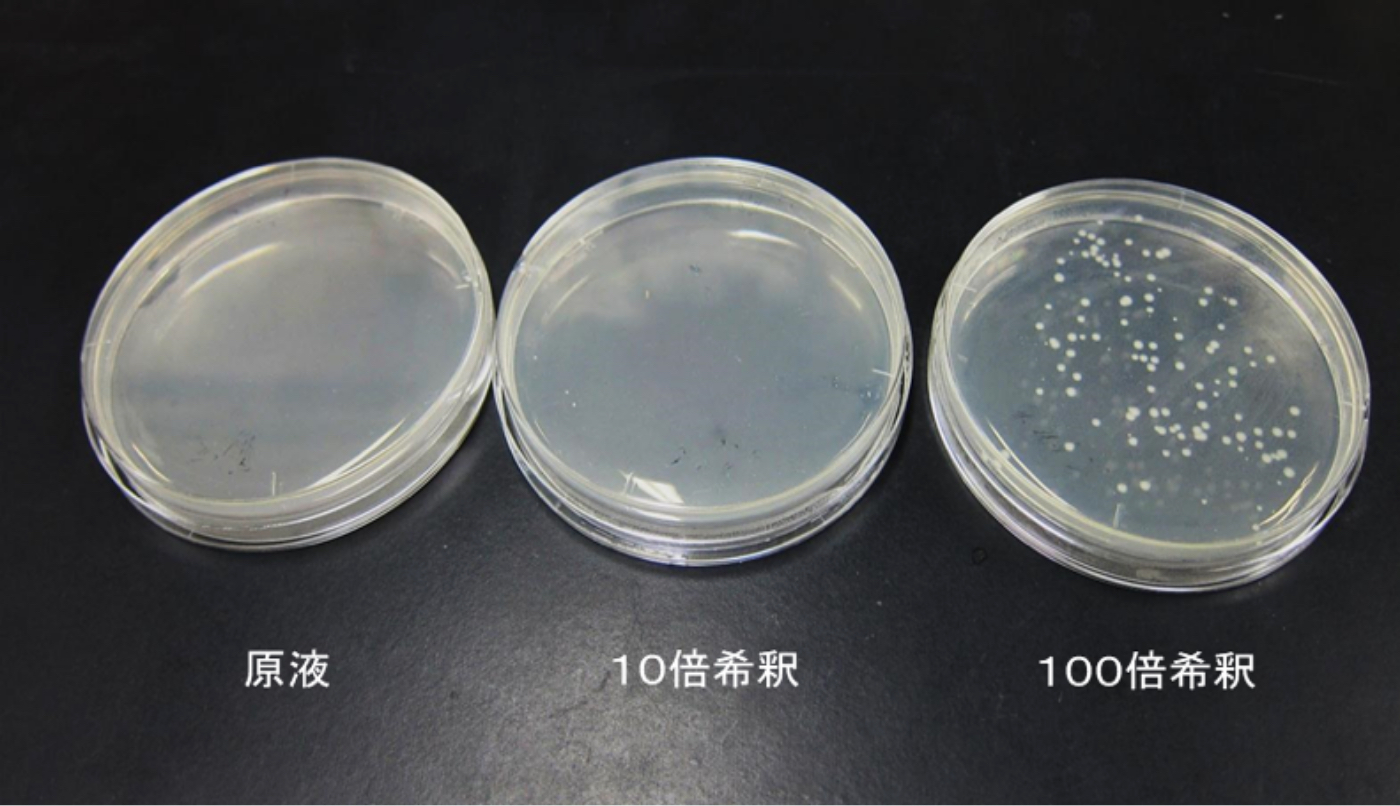 炭疽菌殺菌試験結果